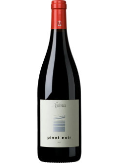 Вино Cantina Andrian Pinot Noir (Кантіна Андріан Піно Нуар)
